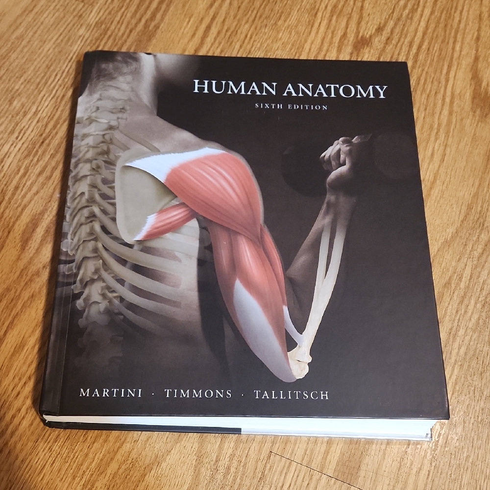Human Anatomy Sixth Edition Textbook